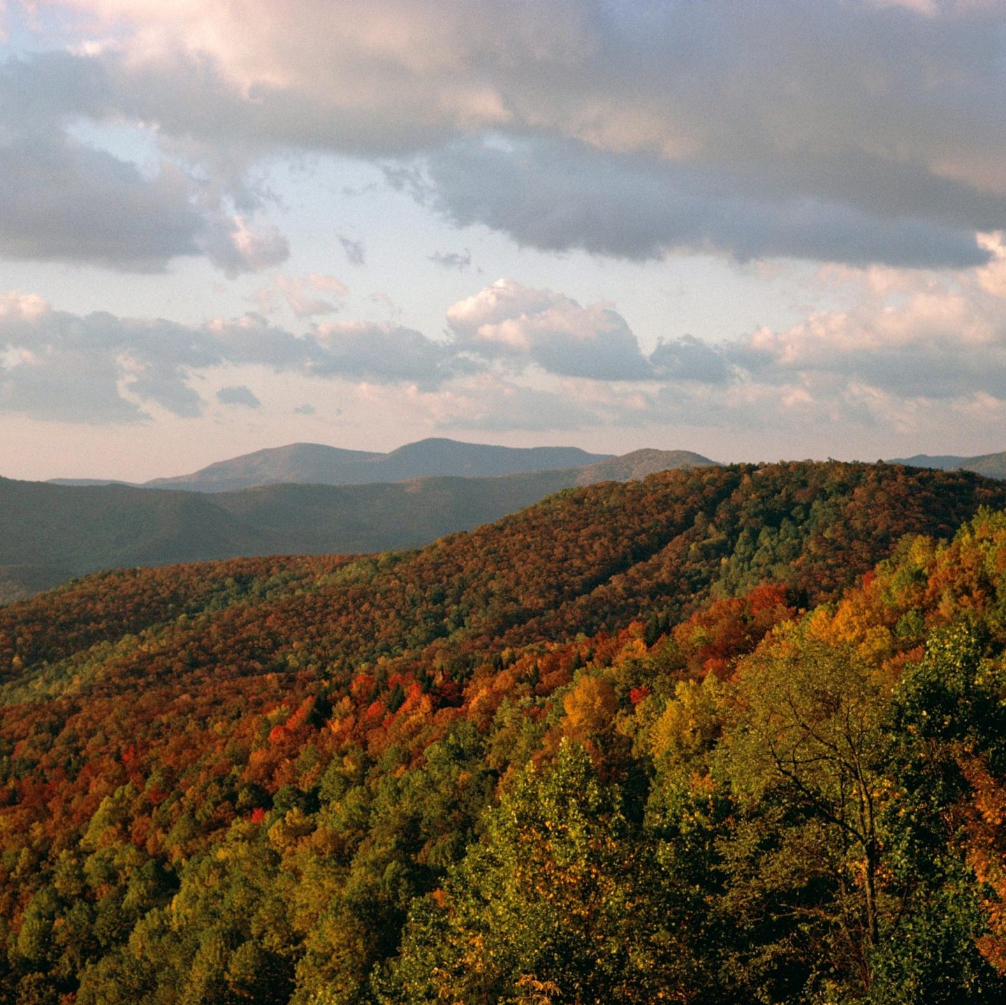 View of forested mountains in autumn under a cloudy sky.