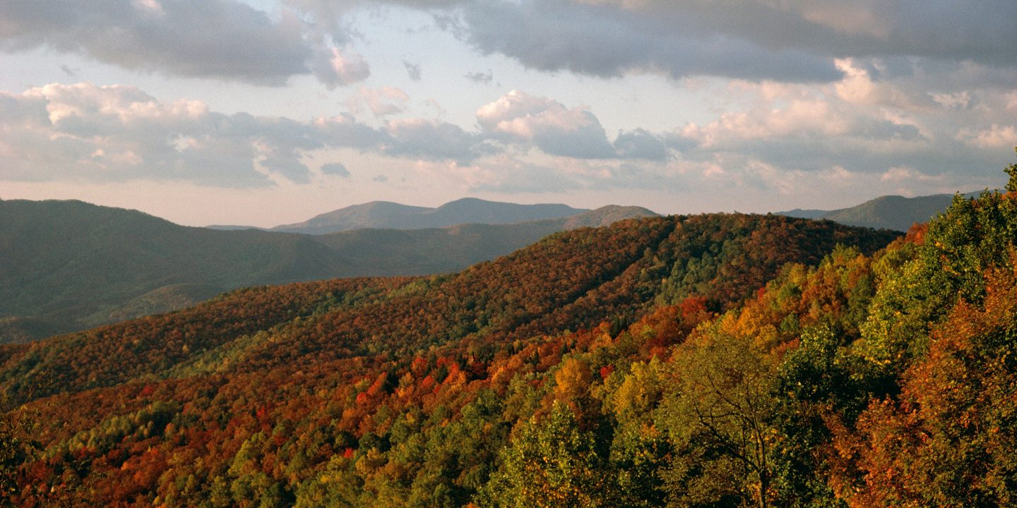 Paesaggio autunnale tra colline e foreste dai colori dorati.
