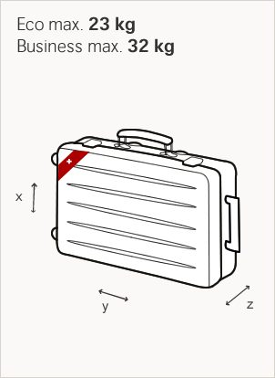 Baggage allowance fees