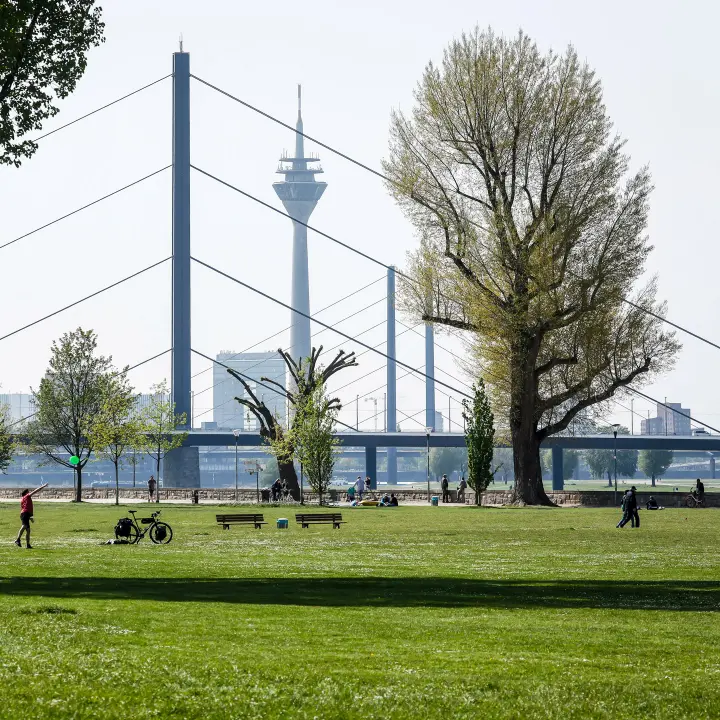 Vol depuis Lugano vers Düsseldorf