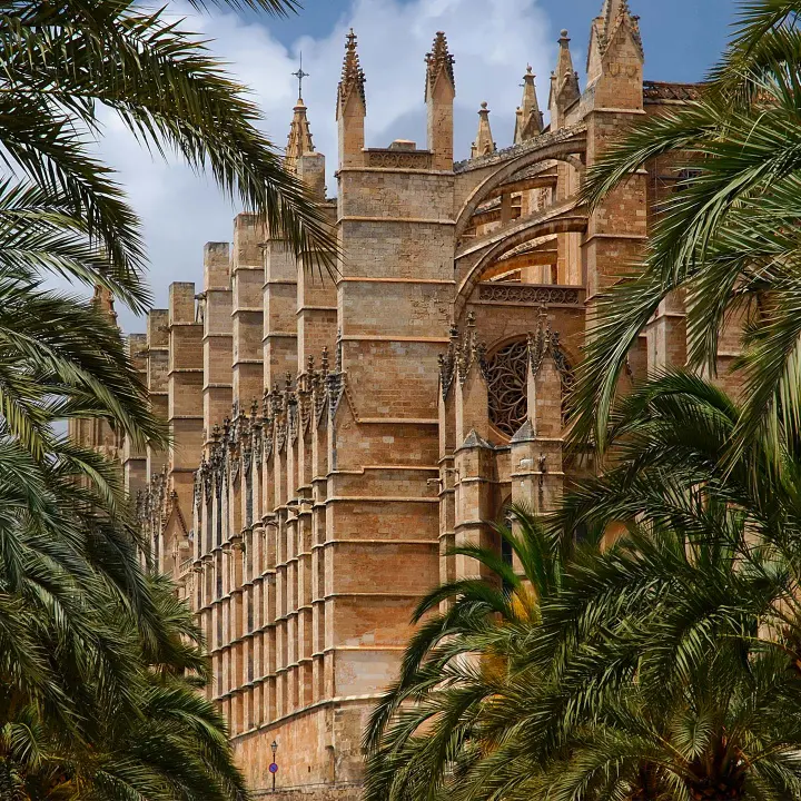 Vol depuis Bellinzone vers Palma de Majorque