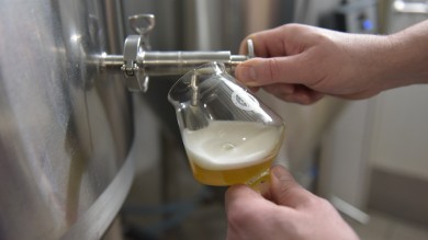 Ein frisch gezapftes helles Lagerbier der Gsellig Bräu AG.