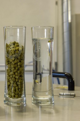 Malz, Hopfen und Wasser - die Basis der Glattfelder Biere.