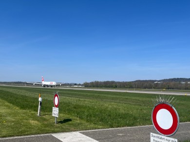   All for safety’s sake: signs, posts, lights and other possible bird perching sites are equipped with spikes throughout the airport area. 