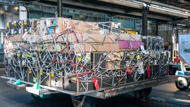 Once they’ve been packed properly, the flowers are ready for transport.