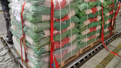 Dank SWISS WorldCargo können Kastanien aus Italien auch in New York genossen werden.