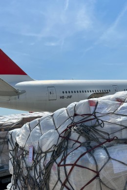 Magazine_Cargo.jpg