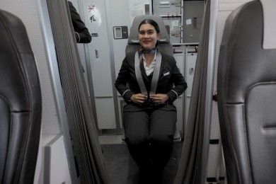 Flight Attendant 