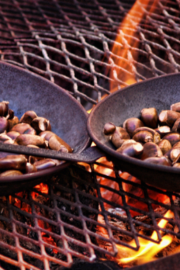 Chestnuts - MySWISS Article (1000x582px) - 1