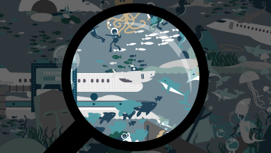 220924_AeroSHARK_01.png