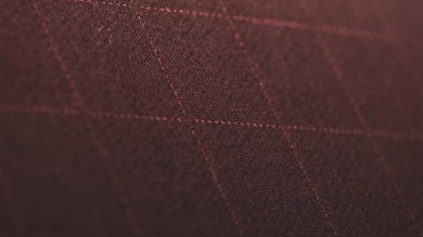 SWISS Business fabric-min.jpg