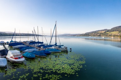 Einmal rundherum: Frühlingsrunde um den Hallwilersee.