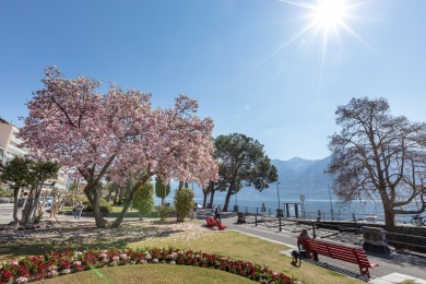 Seepromenade Locarno-Tenero 1 (Ticino Turismo_Alessio Pizzicannella).jpg