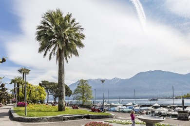 Seepromenade Locarno-Tenero 4 (Ticino Turismo_Alessio Pizzicannella).jpg