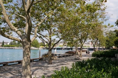 Rund ums Seebecken: Seepromenade Zürich.