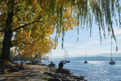 Zürichsee, Segelboot