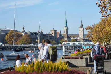 Quai, Möve, Zürichsee, Fraumünster, St. Peter