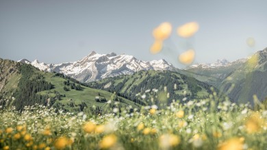 Idyllic views of the Bernese, Fribourg and Vaud Alps: high-altitude hike from Horneggli to Rinderberg.