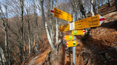 Rundwanderung_MonteBre_zum_Monte_Boglia_6.jpeg