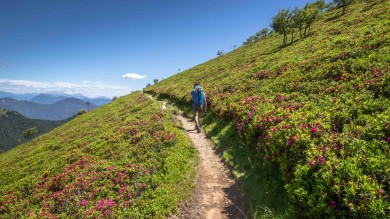 Traversata_Monte_Lema_Monte_Tamaro_5.jpeg