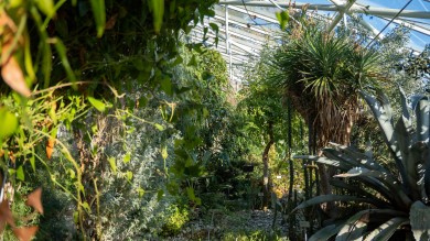 botanical garden inside a garden house