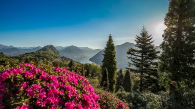 view on Lake Lugano with azaleas and rhododendrons