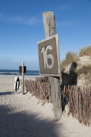 Buhne 16