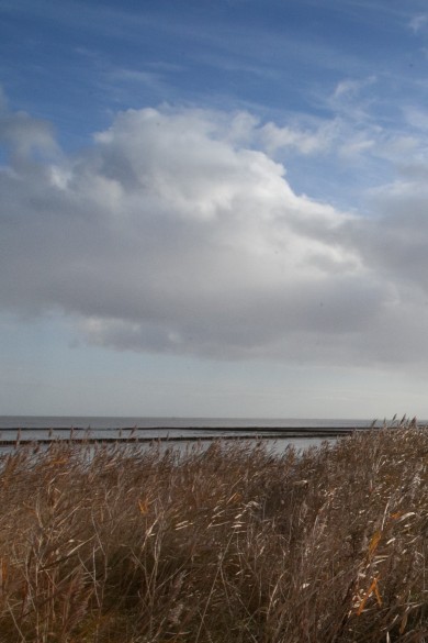 Ostküste