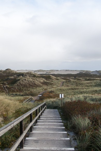 Treppe über die Dünen 