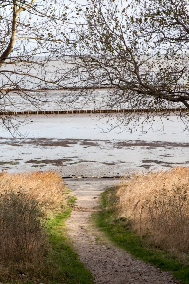 Wattenmeer an der Ostküste