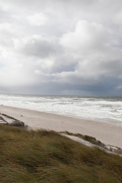 Wilde Nordsee