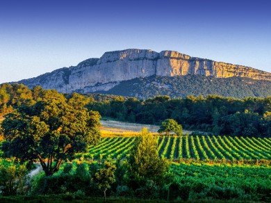 Pic Saint-Loup