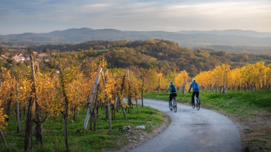 3_Cycling through the golden vineyards in autumn is truly magical.jpg