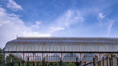 bernd-dittrich-7dO_5GGWQNk-unsplash (1).jpg
