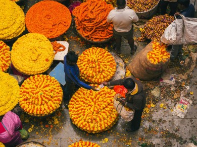 gayatri-malhotra-A1VgRnA0nfI-unsplash.jpg