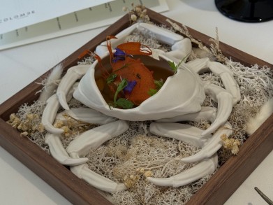 Südafrika 2.jpg