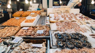 Athens - Fruit of the Sea - Varvakeios Market - Copyright Thomas Gravanis.jpg