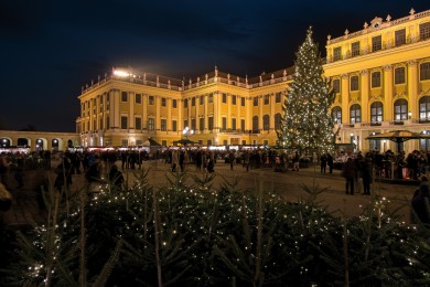 Art and Christmas Market: Schönbrunn Palace