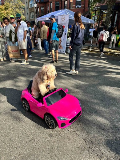 A dog sitting in a pink children car at a farmers market. 