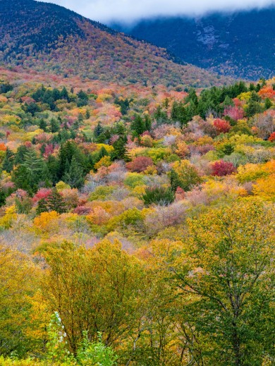 Equinox Mountain und Bäume in Herbstfarben. 