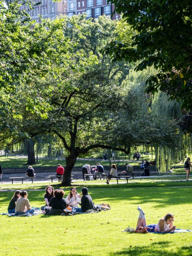 Die Wiese des Parks ist grün und Besucher machen es sich mit einem Buch darauf gemütlich. 