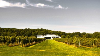 The mild climate offers favourable conditions for viticulture.