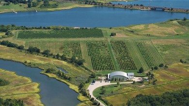 Die Saltwater Vineyard Farm in Stonington liegt direkt am Wequetequock Cove. 