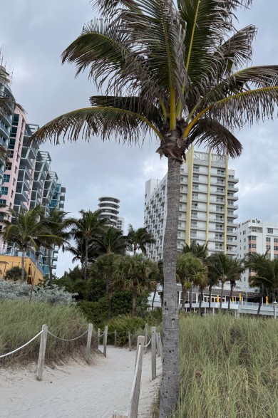 Im Hintergrund erstreckt sich der Ocean Drive, der zum sandigen 12th Street Beach führt.