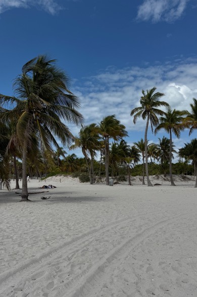 Der weiche, weisse Sand und die sanft wiegenden Palmen machen diesen Strand zum perfekten Ort, um abzuschalten und dem Stadtlärm zu entfliehen.