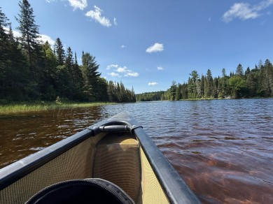 Im Kanu entdeckt man den Alqonquin Provincial Park am besten.