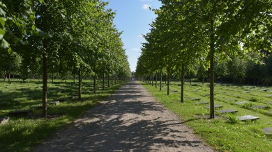 Ein Besuch in Christiansfeld. Die Stadt gehört zum UNESCO-Weltkulturerbe. 